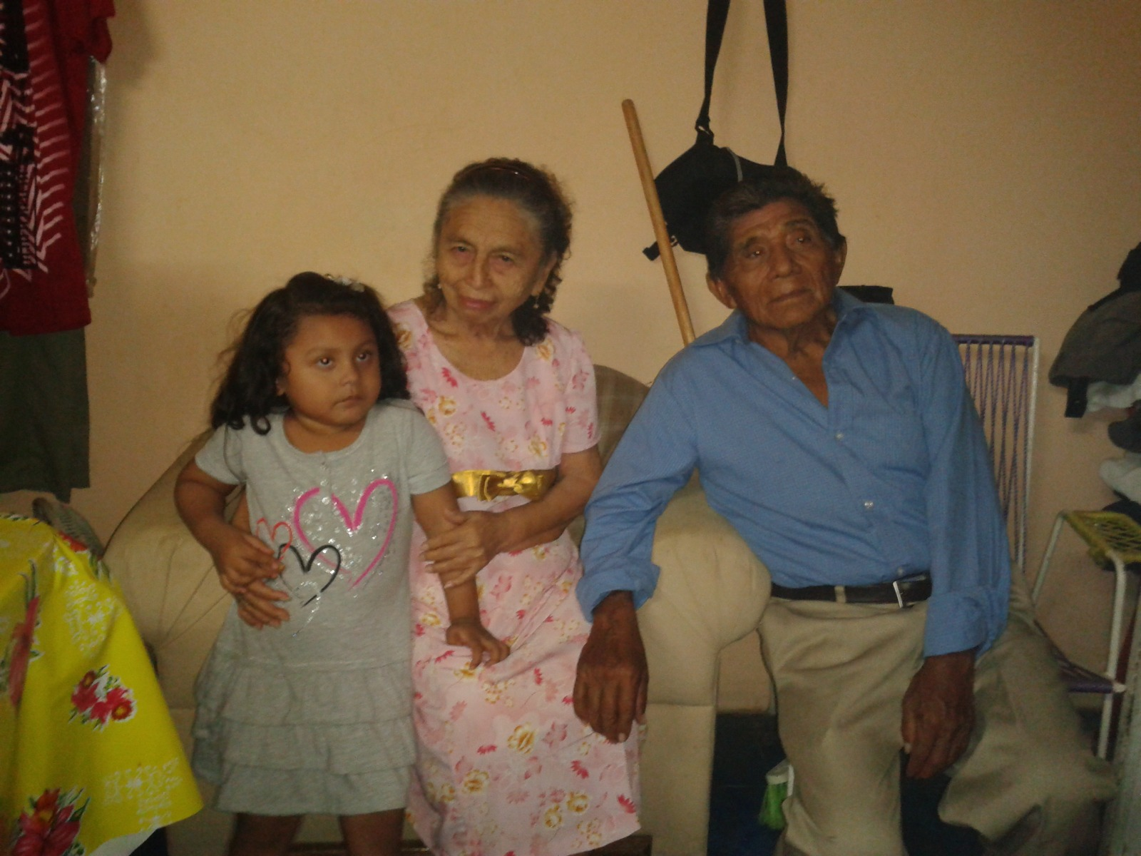 Imagen 2
