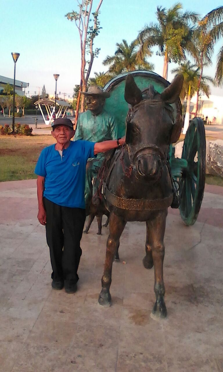 Imagen 6